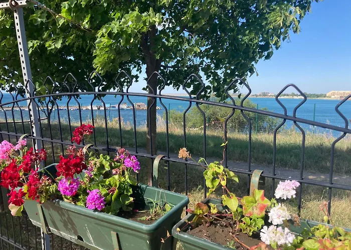 Апартаменти Art Marina Cape-private Host